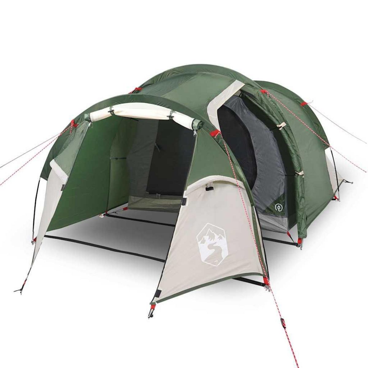 VIDAXL Tente de camping tunnel 2 personnes vert impermeable