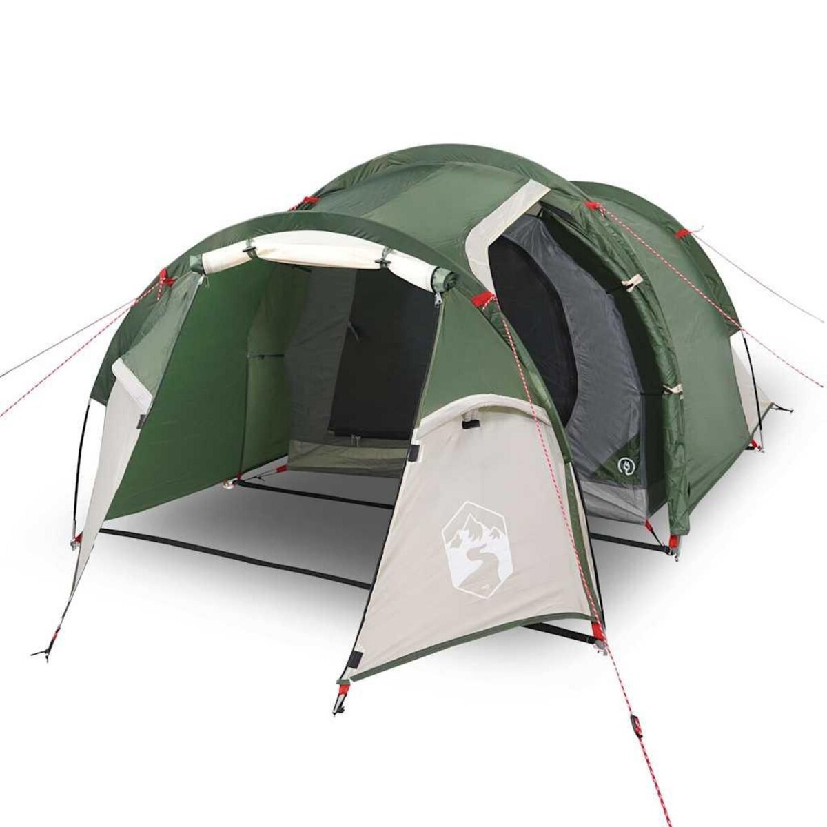 VIDAXL Tente de camping tunnel 2 personnes vert impermeable