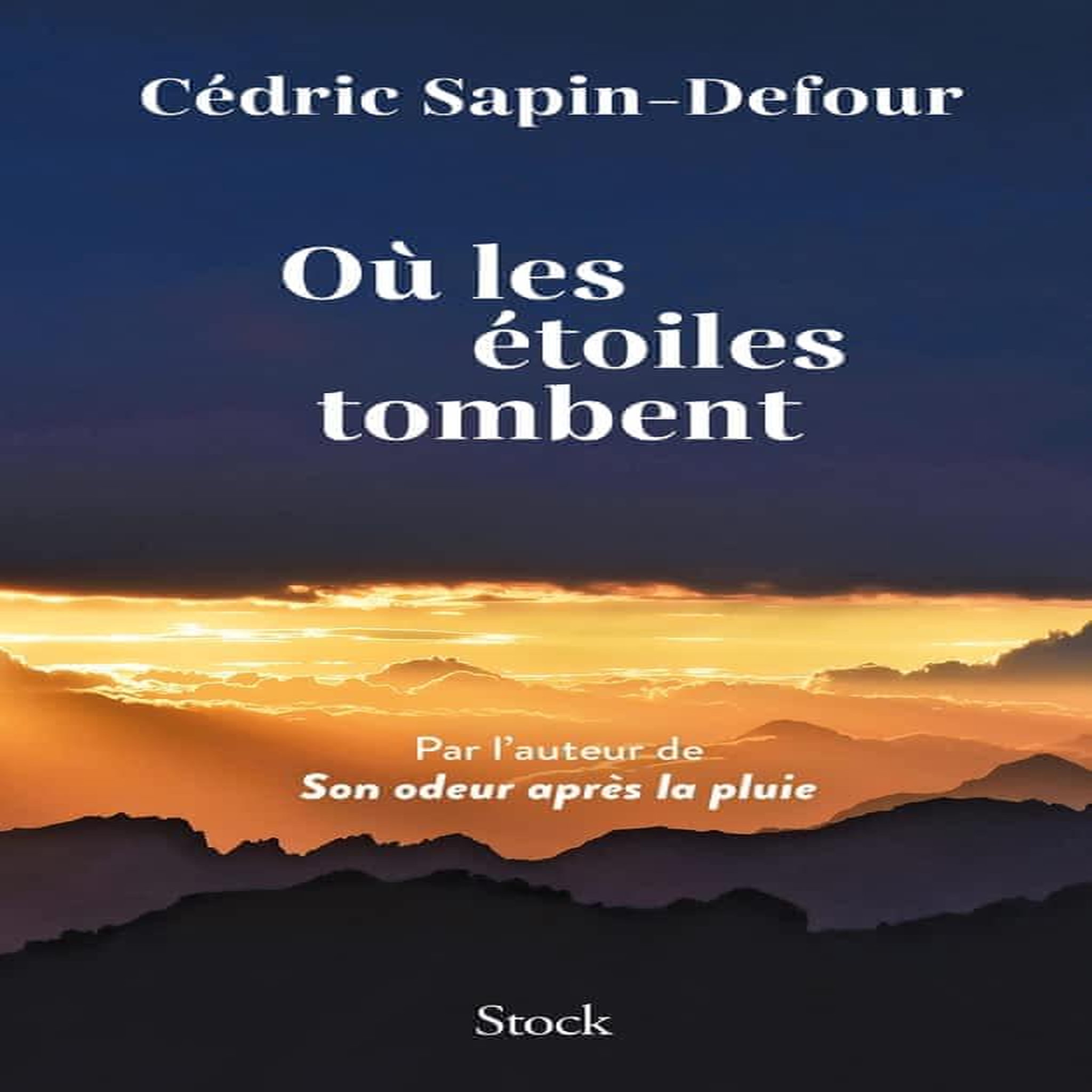 OU LES ETOILES TOMBENT, Sapin-Defour Cédric