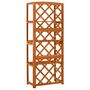 Voir la diapositive 3 : VIDAXL Treillis avec etageres 55x30x140 cm Bois de sapin massif