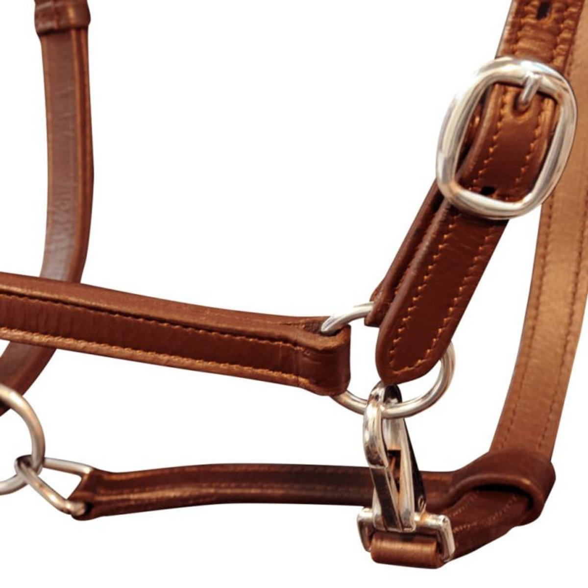 VIDAXL Licol Licou en cuir réglable pour écurie Cheval Marron