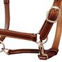 Voir la diapositive 2 : VIDAXL Licol Licou en cuir réglable pour écurie Cheval Marron