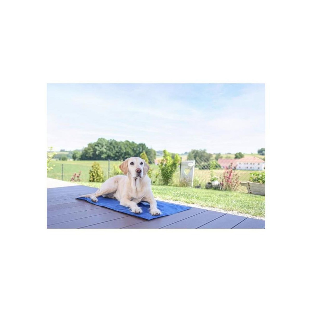 KERBL Tapis rafraîchissant - KERBL - CoolRelax - 50 x 40 cm - Bleu