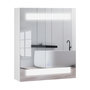 Voir la diapositive 1 : HOMCOM Miroir lumineux LED armoire murale design de salle de bain 2 en 1 dim. 50L x 15l x 60H cm MDF blanc