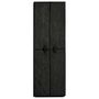 Voir la diapositive 3 : VIDAXL Armoire a chaussures Noir 60x30x166 cm Tissu