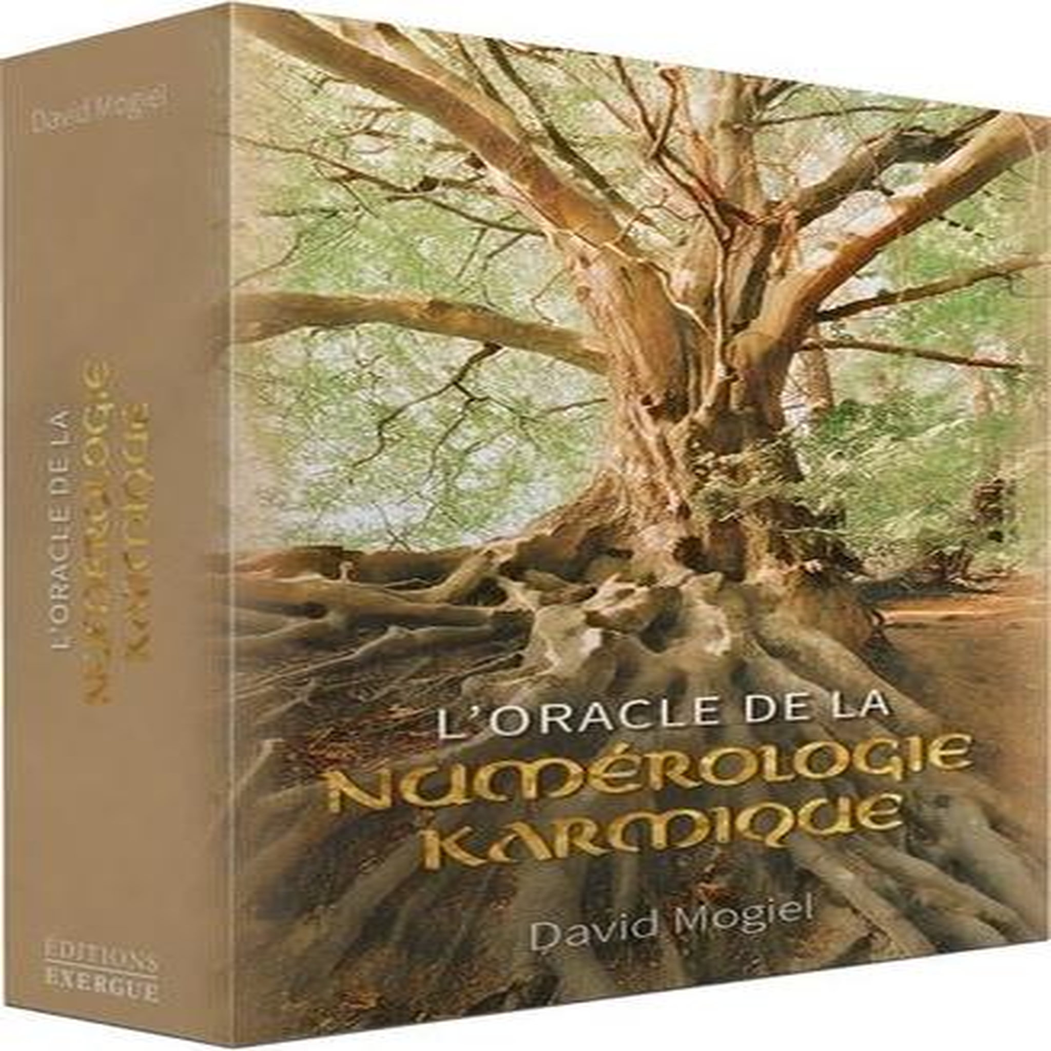 L'ORACLE DE LA NUMEROLOGIE KARMIQUE, Mogiel David