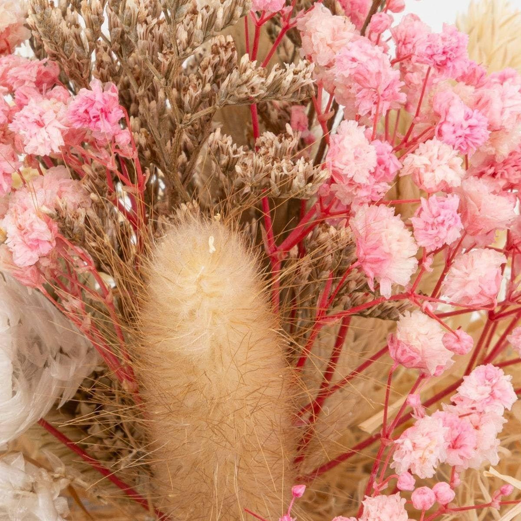 Voir la diapositive 2 : ATMOSPHERA Composition de fleurs naturelles  pria  13cm multicolore