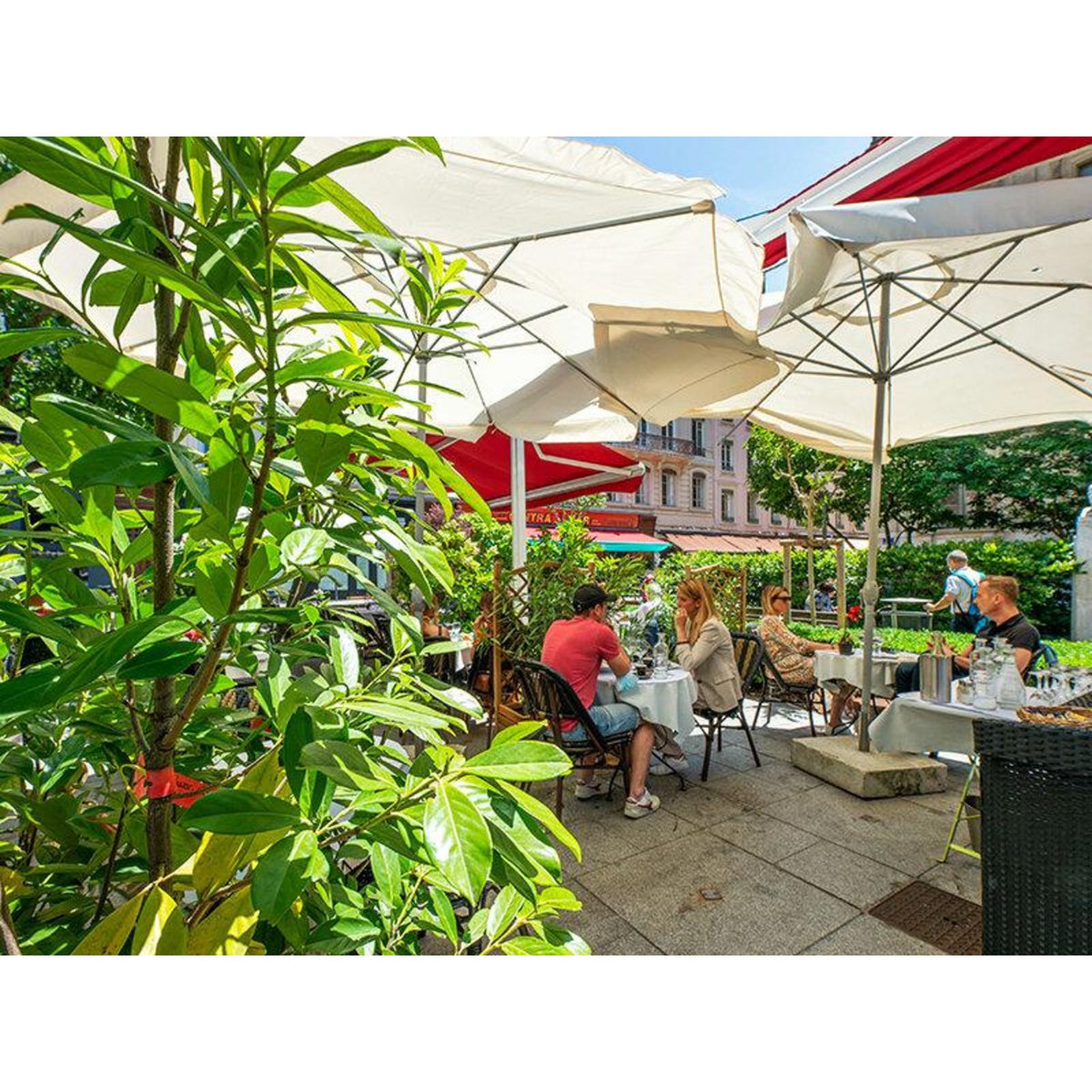 Smartbox Dîner Découverte au Cintra, institution culinaire et patrimoine de Lyon - Coffret Cadeau Gastronomie