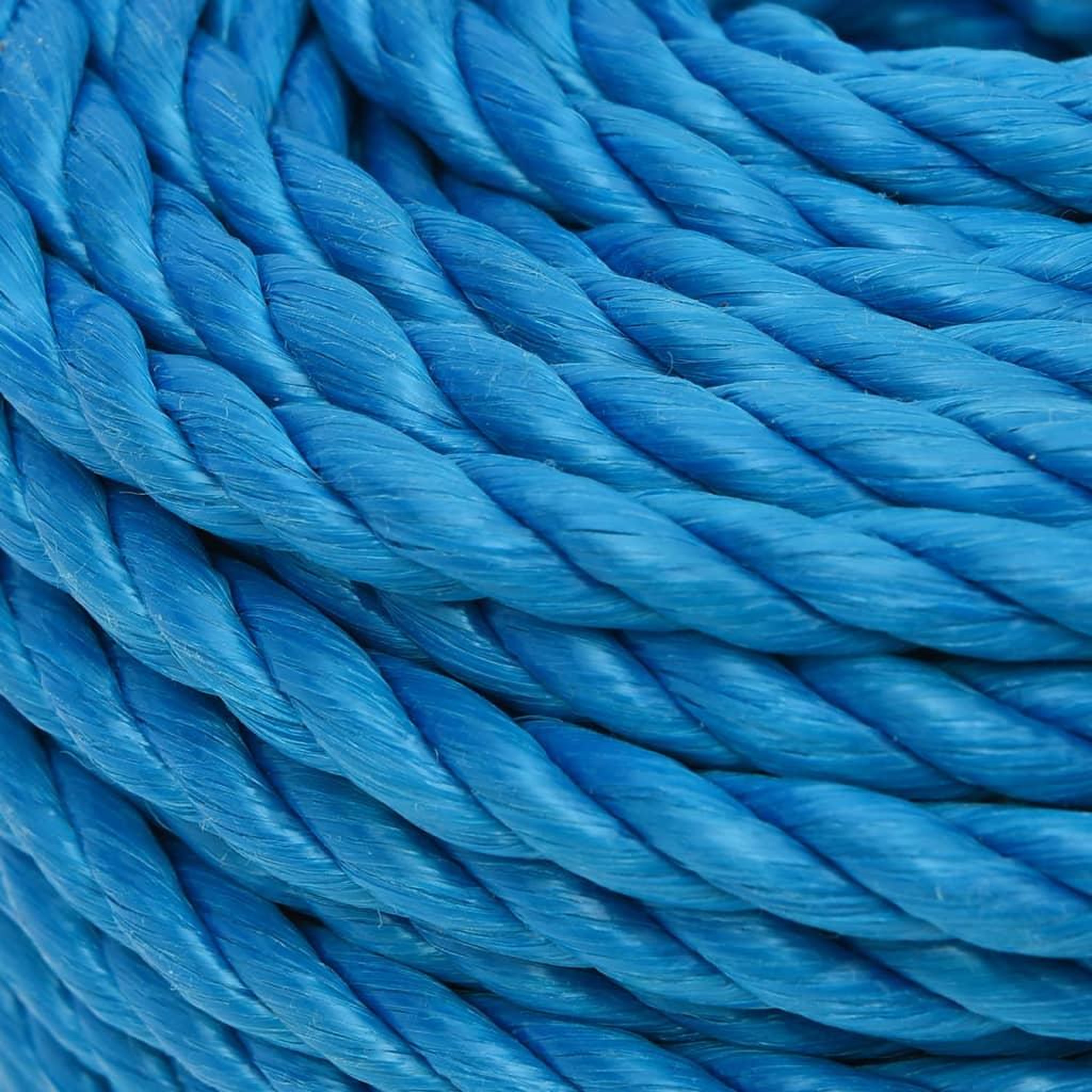 Voir la diapositive 4 : VIDAXL Corde de travail Bleu 24 mm 50 m polypropylene