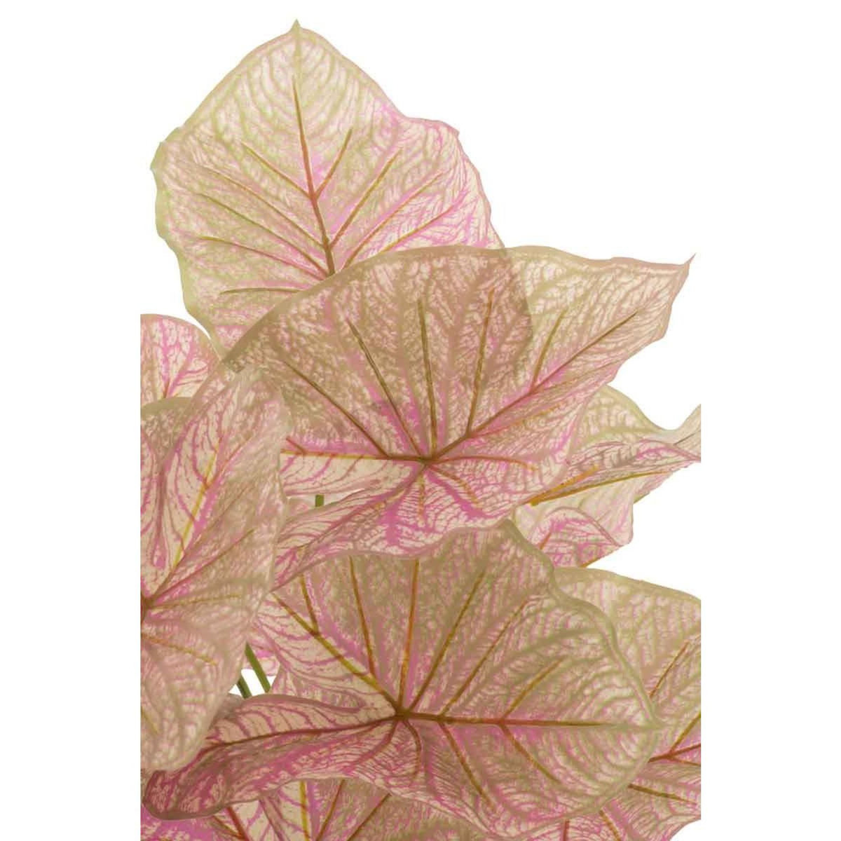 Paris Prix Plante Artificielle en Pot  Caladium  57cm Rose Clair