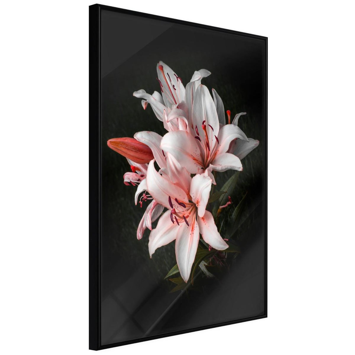 Paris Prix Affiche Murale Encadrée  Pale Pink Lilies