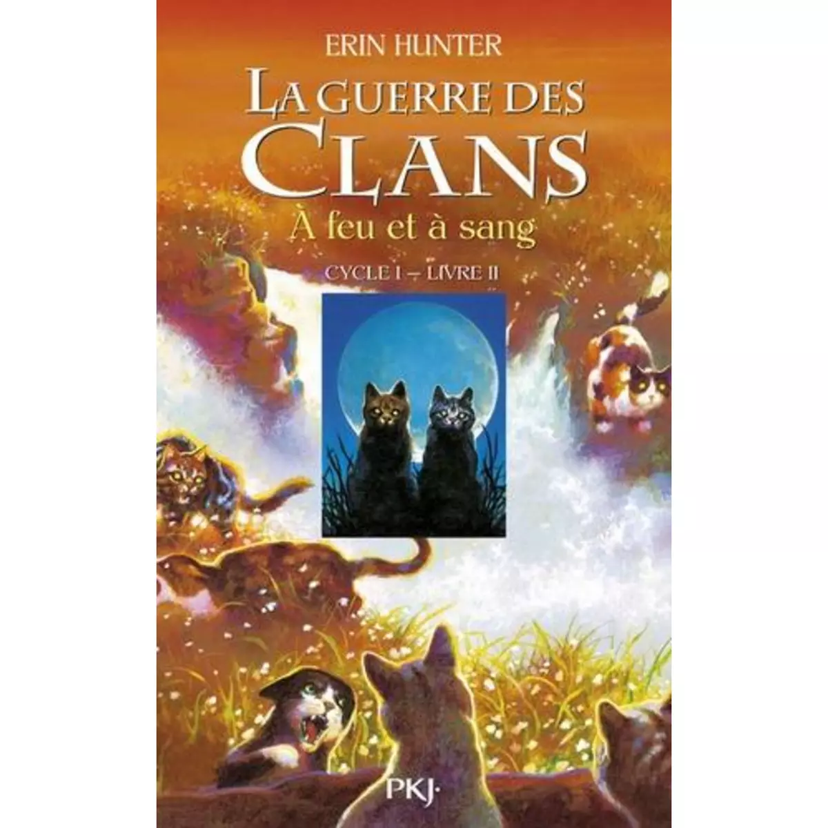  LA GUERRE DES CLANS (CYCLE 1) TOME 2 : A FEU ET A SANG, Hunter Erin