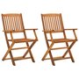 Voir la diapositive 1 : VIDAXL Chaises pliables d'exterieur lot de 2 Bois d'acacia solide
