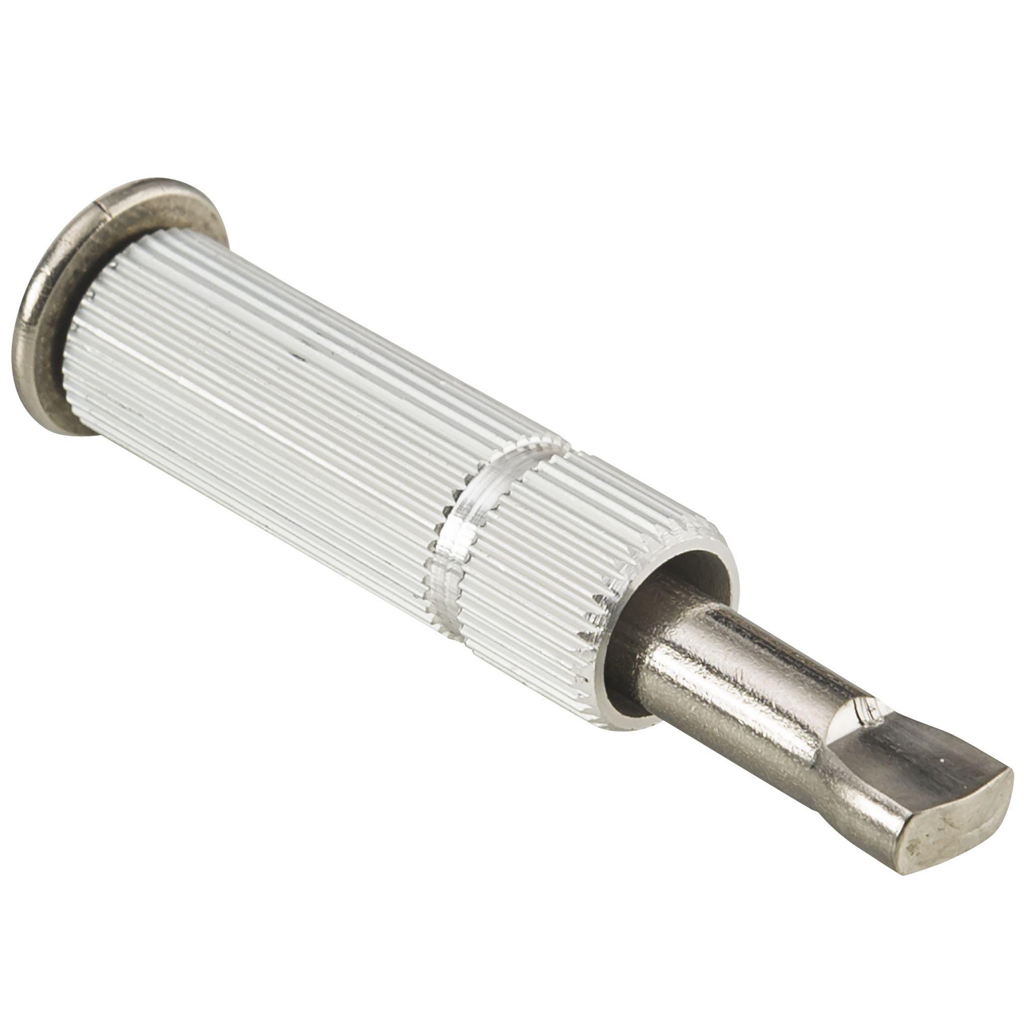 Voir la diapositive 2 : AQUALUX Piton douille inox pour dalle
