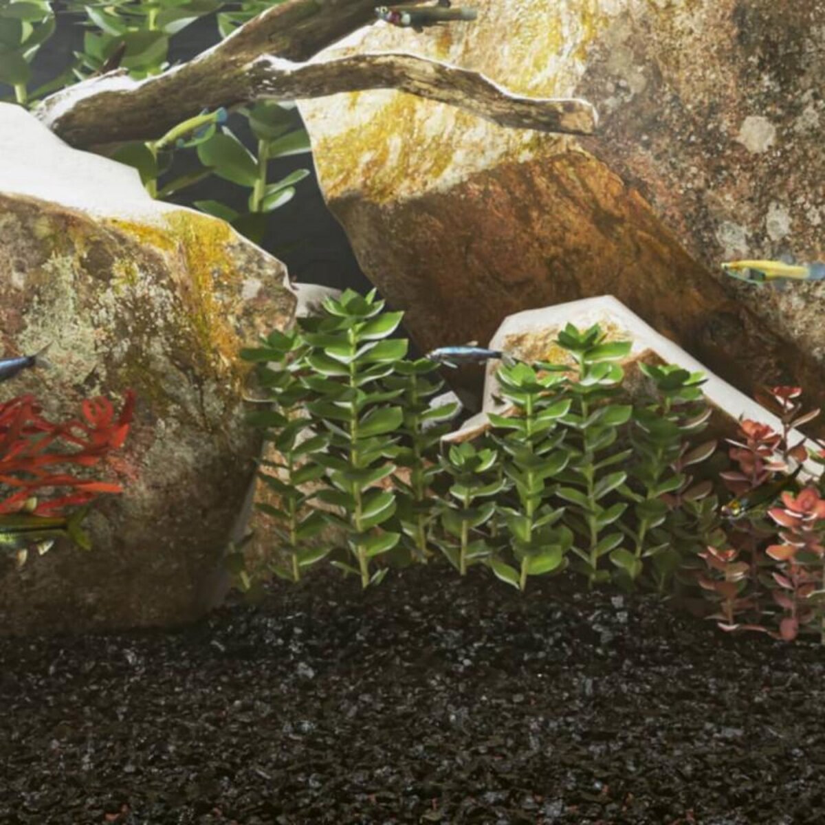 VIDAXL Sable pour aquarium 10 kg noir 0,2 2 mm