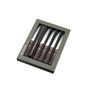 Voir la diapositive 2 : Amefa Coffret 6 couteaux à steak - 495015MB02BR1