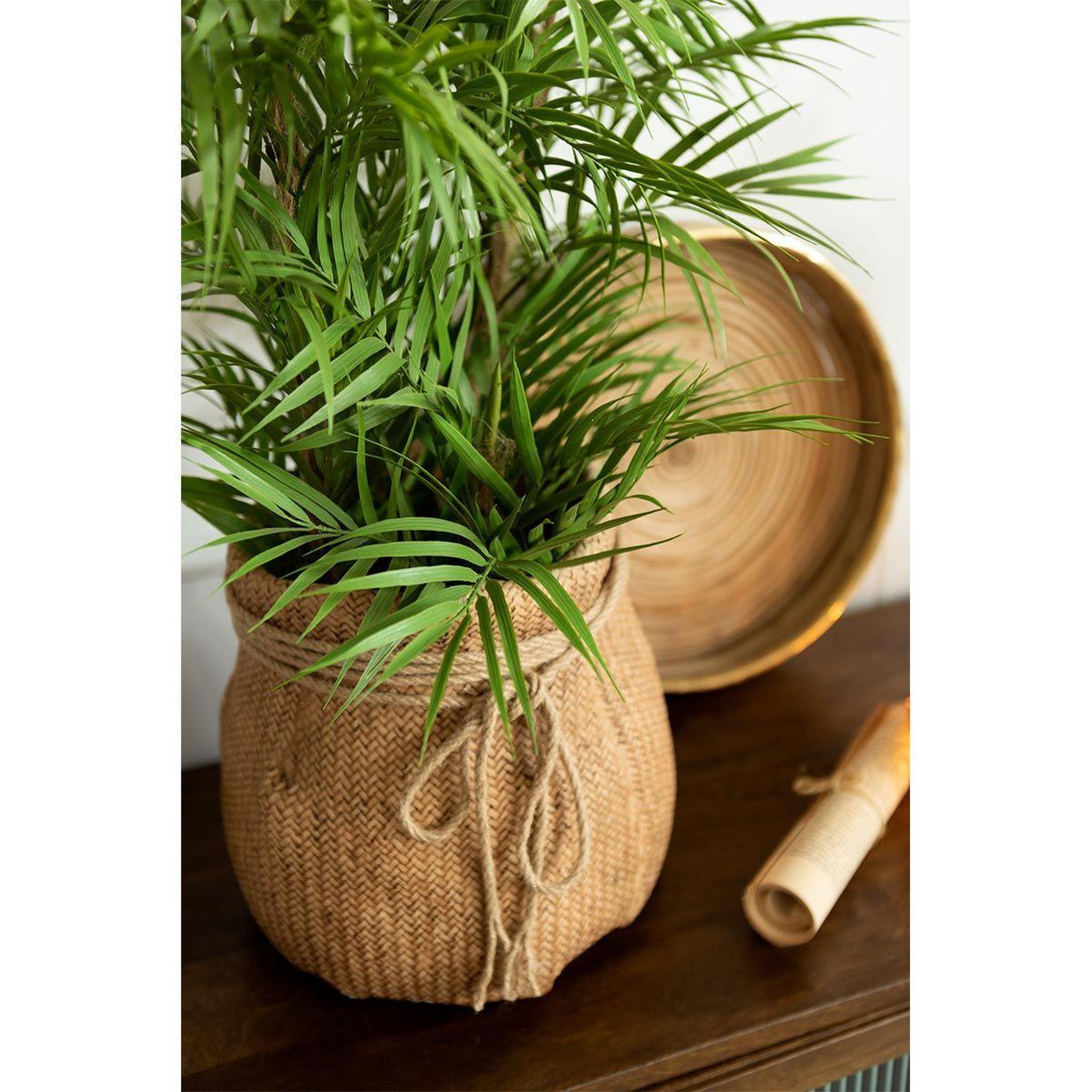 Voir la diapositive 2 : J-LINE Plante artificielle  palmier en pot  84cm vert
