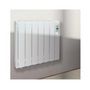 Voir la diapositive 2 : DUCASA Radiateur mural à fluide caloporteur 1800w - 0636275