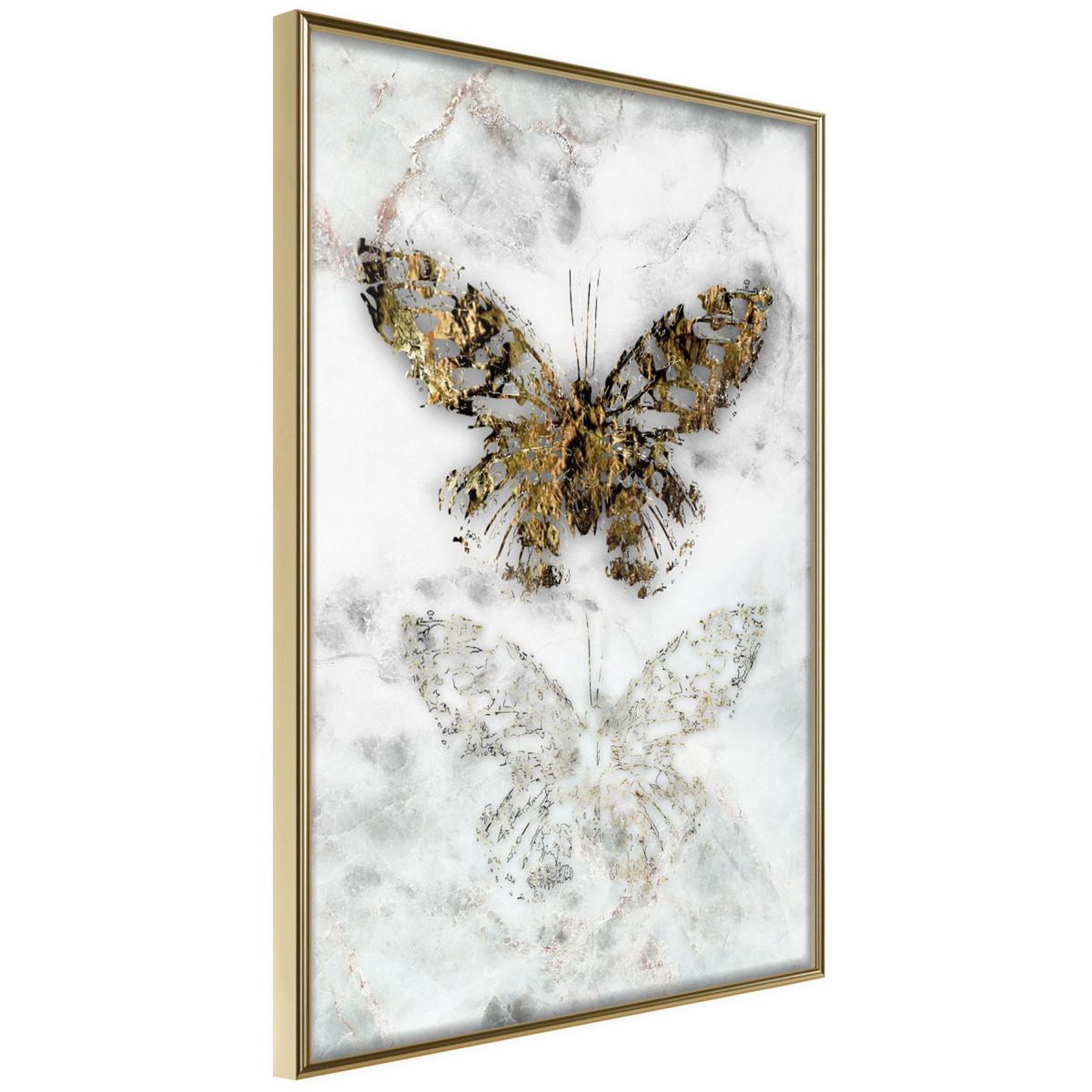 Paris Prix Affiche Murale Encadrée  Butterfly Fossils