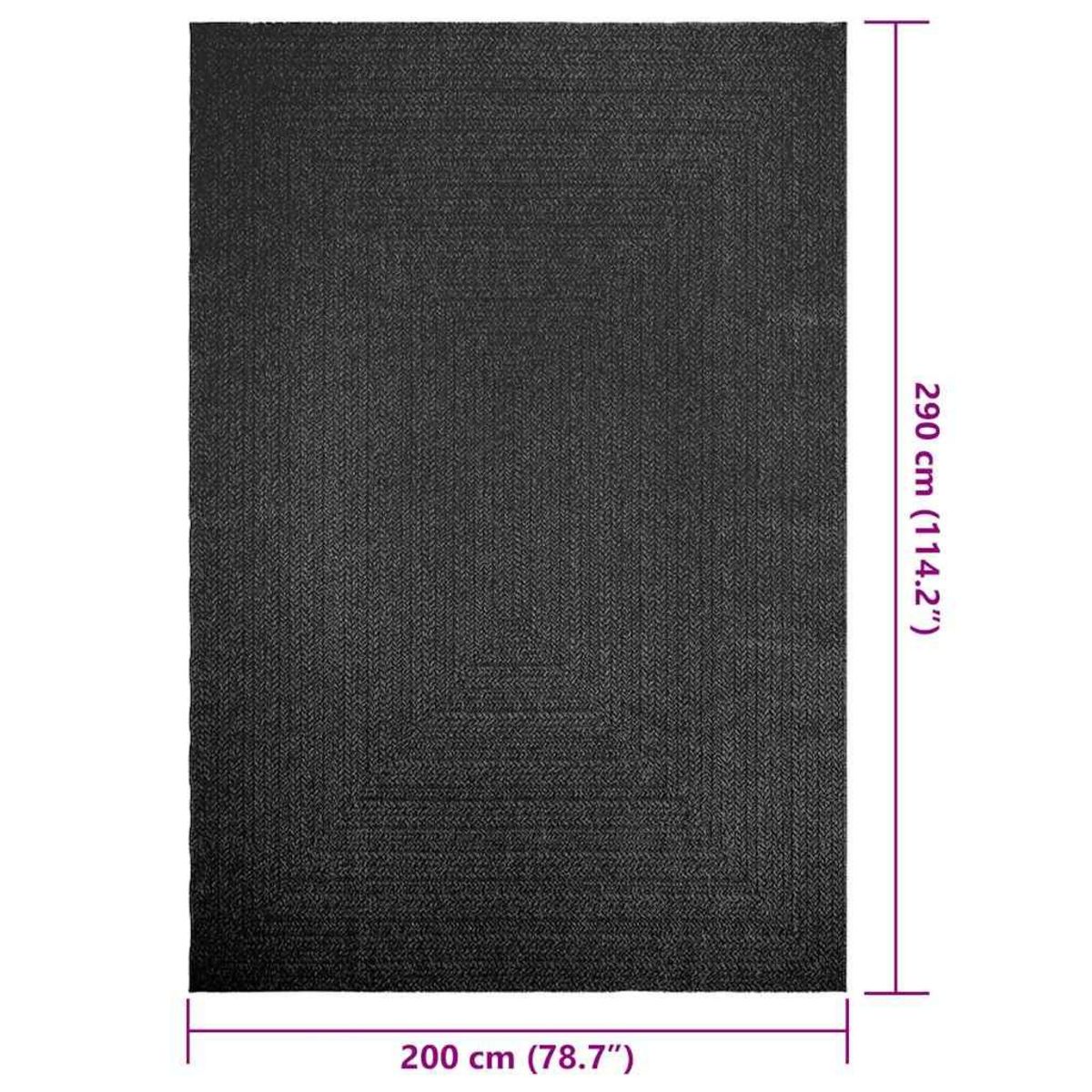 VIDAXL Tapis ZIZUR 200x290 cm aspect de jute interieur exterieur