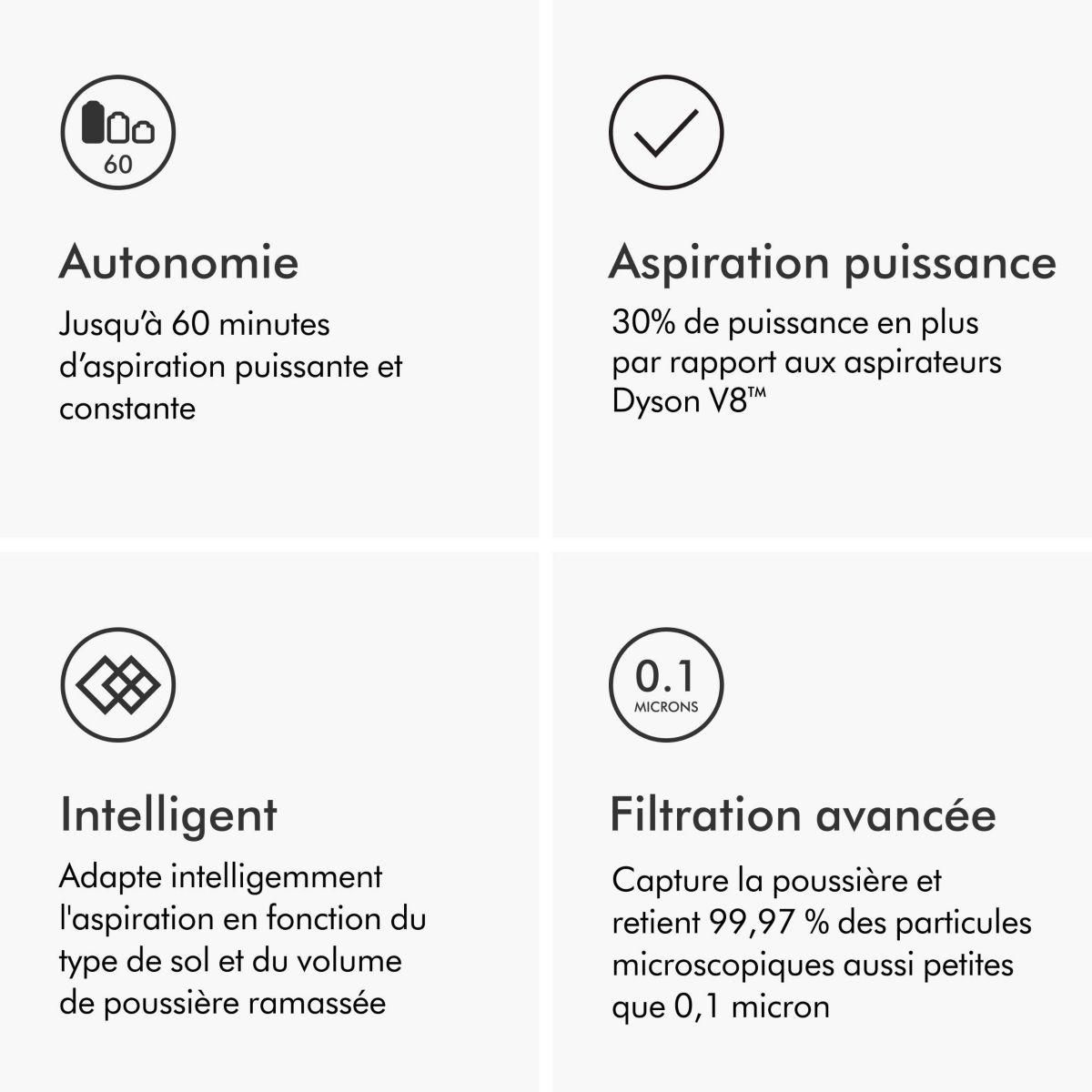 Dyson Aspirateur balai V12 Origin