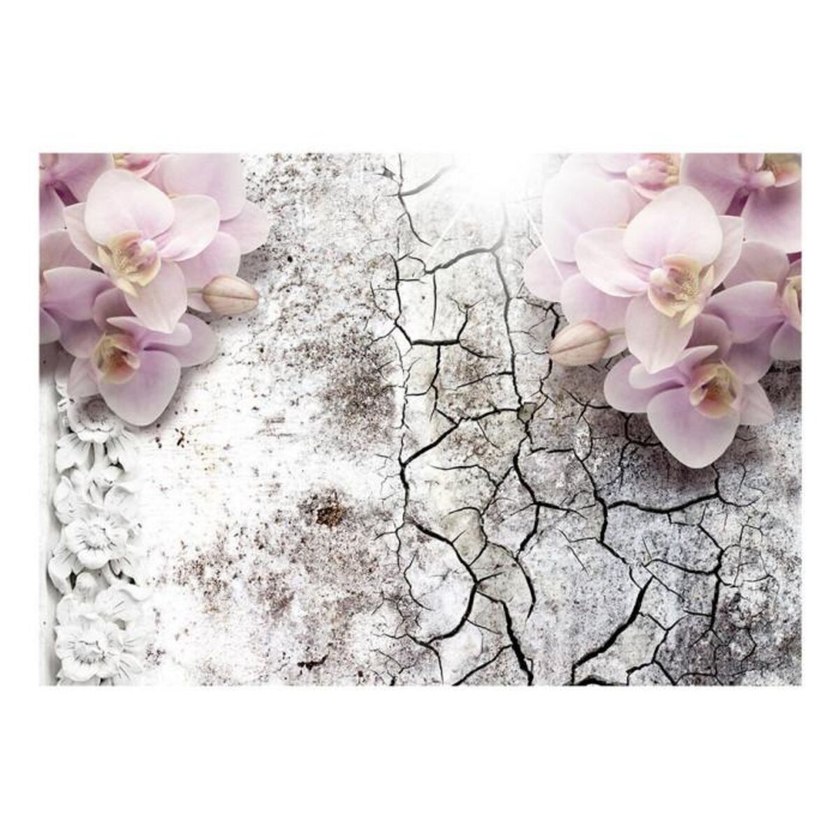 Paris Prix Papier Peint  Bright Red Orchids