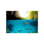 Voir la diapositive 2 : Paris Prix Papier Peint  Under the Waterline