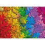 Schmidt Puzzle 1500 pièces : Feuilles colorées