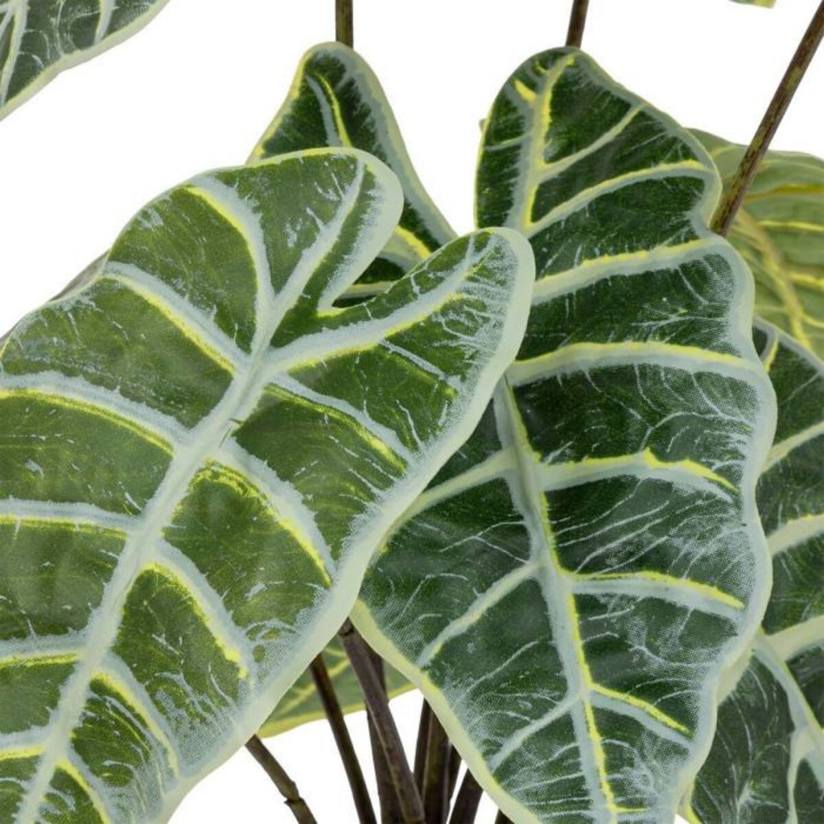 ATMOSPHERA Plante Artificielle Alocasia  Soleya  43cm Vert