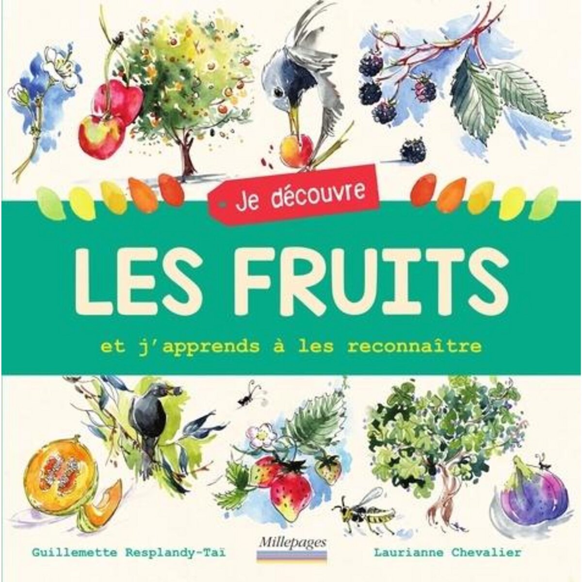 JE DECOUVRE LES FRUITS ET J'APPRENDS A LES RECONNAITRE, Chevalier Laurianne