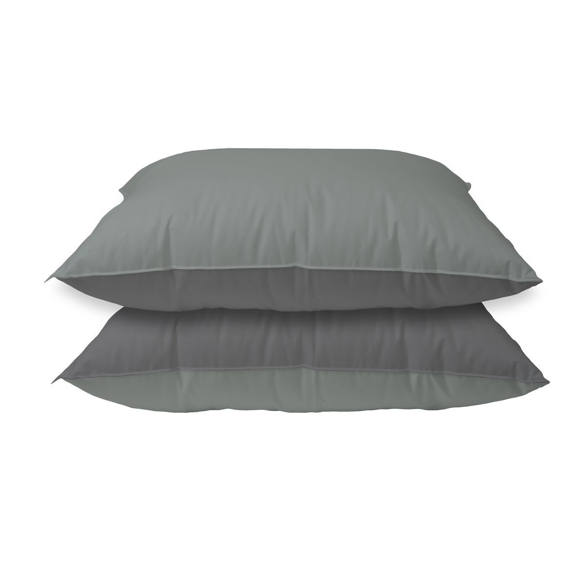 BLANREVE Lot de 2 oreillers bicolore en microfibre 