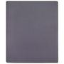 Voir la diapositive 2 : VIDAXL Draps-housses Jersey 2 pcs Anthracite 100x200 cm Coton
