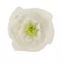 Paris Prix Fleur Artificielle en Papier  Rose  80cm Blanc