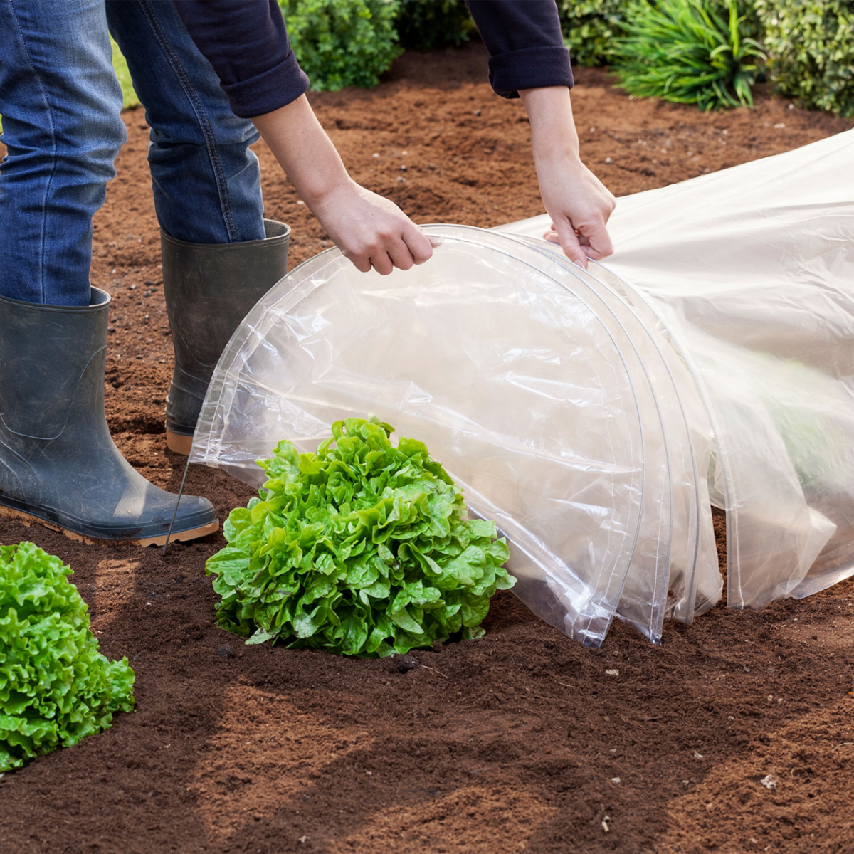 ID MARKET Lot de 2 tunnels de forçage accordéon 4M