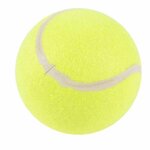 Paris Prix Jouet pour Chien  Balle de Tennis  13cm Jaune