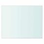 Voir la diapositive 2 : VIDAXL Panneau pour etagere Verre transparent 20 x 25 cm