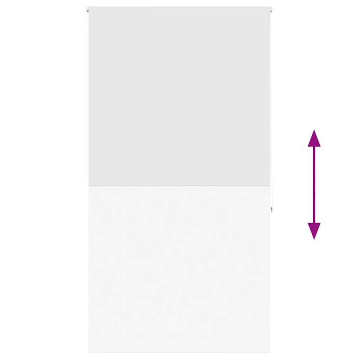 VIDAXL Store enrouleur de douche 120x240 cm largeur du tissu 116 cm