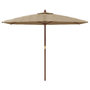 Voir la diapositive 3 : VIDAXL Parasol de jardin avec mat en bois taupe 299x240 cm