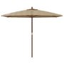 Voir la diapositive 3 : VIDAXL Parasol de jardin avec mat en bois taupe 299x240 cm