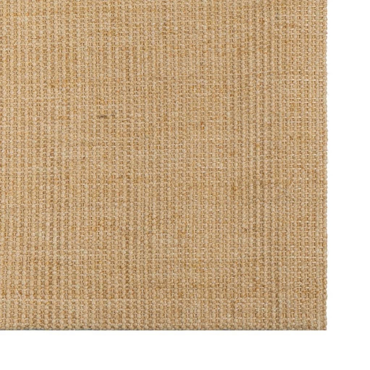VIDAXL Tapis Sisal naturel 100x150 cm