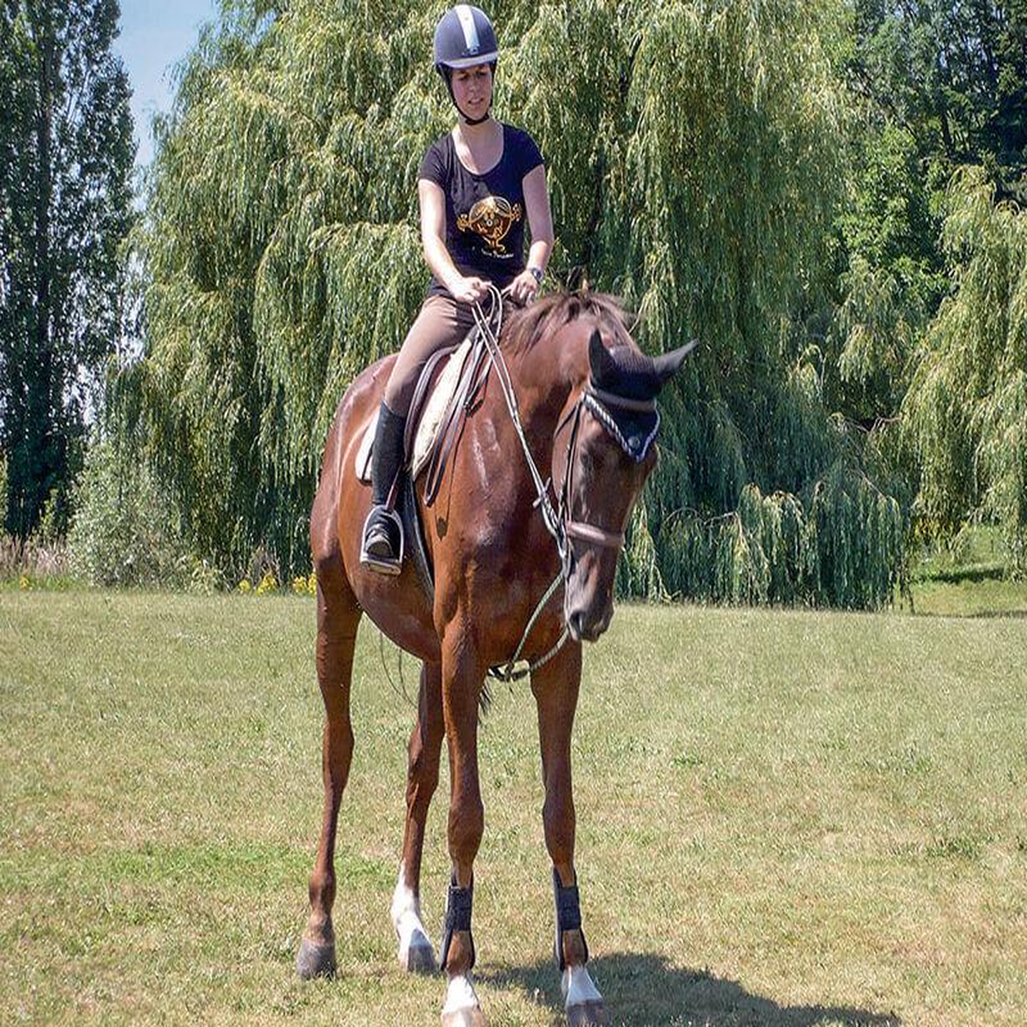 Voir la diapositive 3 : Smartbox Leçon d'équitation ou agréable balade à cheval - coffret cadeau sport & aventure