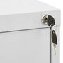 Voir la diapositive 5 : VIDAXL Classeur Gris clair 46x62x102,5 cm Acier