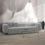 Paris Prix Papier Peint  Tulips Fine Art Black & White II  270x450cm