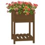 Voir la diapositive 4 : VIDAXL Jardiniere avec etagere Marron miel 54x54x81 cm Bois de pin