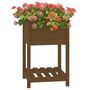 Voir la diapositive 4 : VIDAXL Jardiniere avec etagere Marron miel 54x54x81 cm Bois de pin