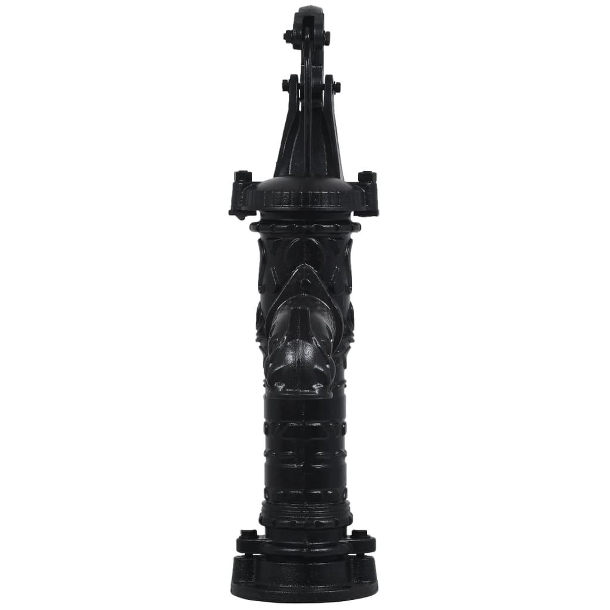 Voir la diapositive 3 : VIDAXL Pompe a eau manuelle de jardin fonte