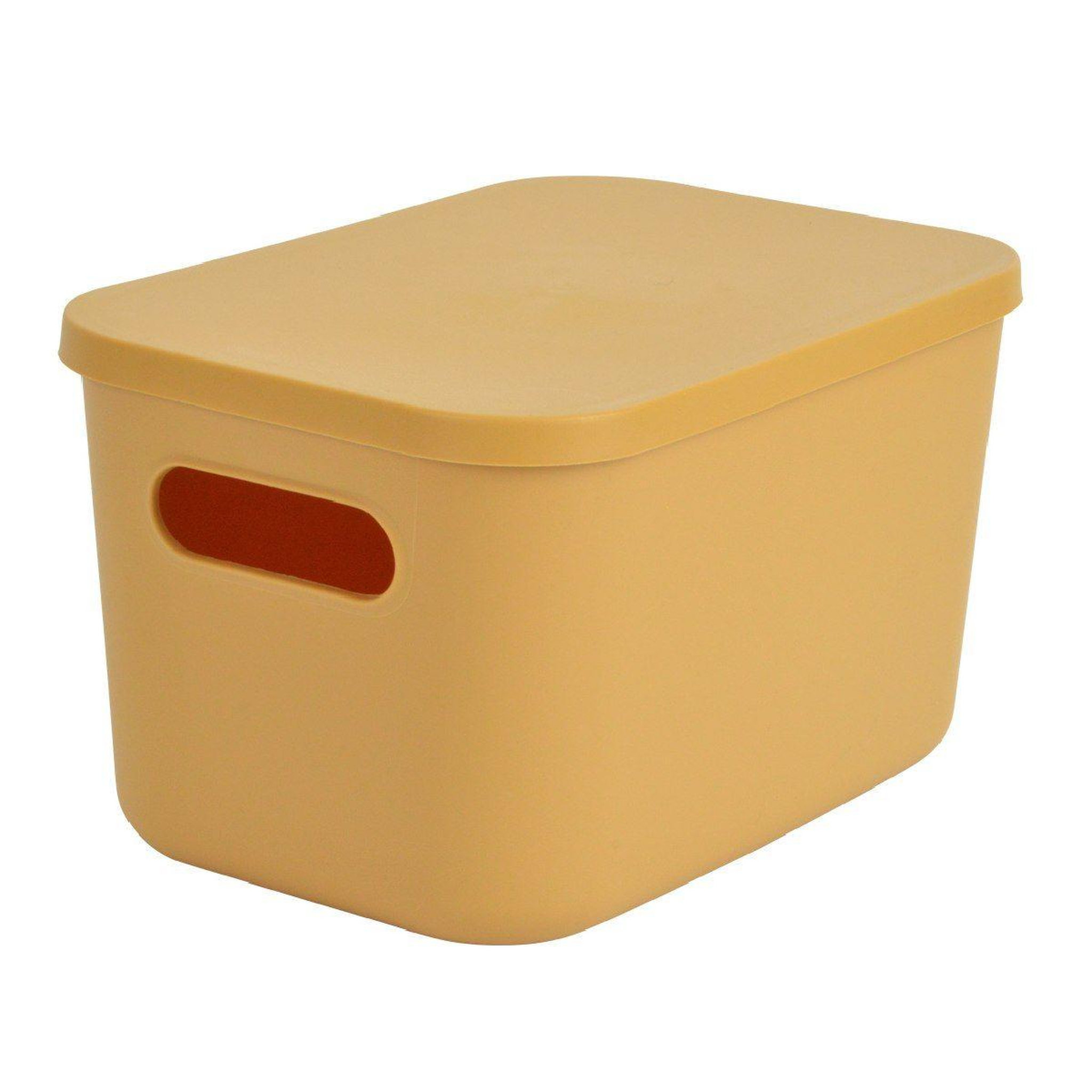 Voir la diapositive 1 : Paris Prix Boîte de Rangement Avec Couvercle  Iris  4,5L Ocre