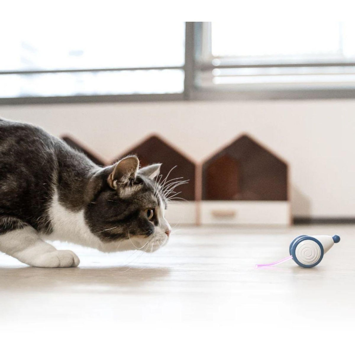 CHEERBLE Jouet Interactive Wicked M ouse