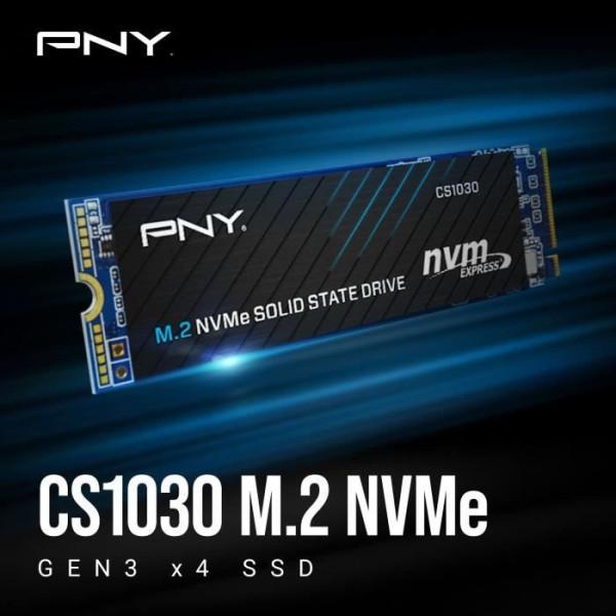 Voir la diapositive 5 : PNY Disque SSD Interne - PNY - CS1030 M.2 GEN3 - 250 Go - NVMe (M280CS1030-250-RB)