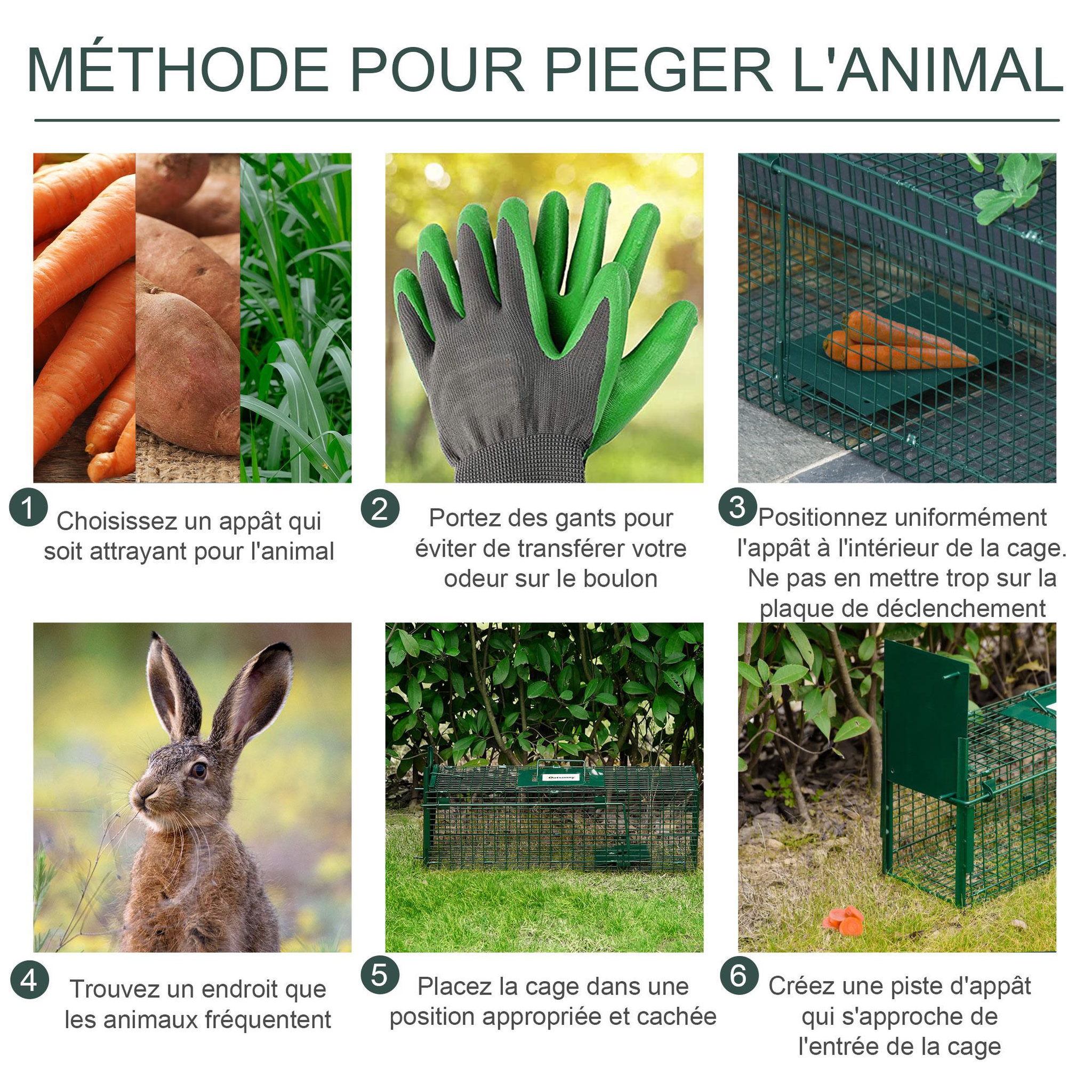 Voir la diapositive 5 : OUTSUNNY Piège de capture pour petits animaux type lapin rat - entrée, poignée - dim. 60L x 18l x 20H cm - métal vert